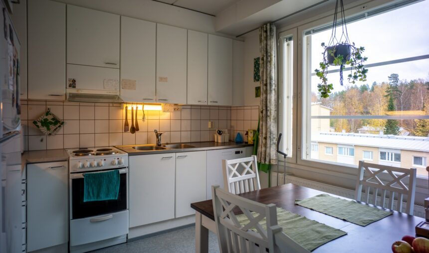 Two-room apartment kitchen